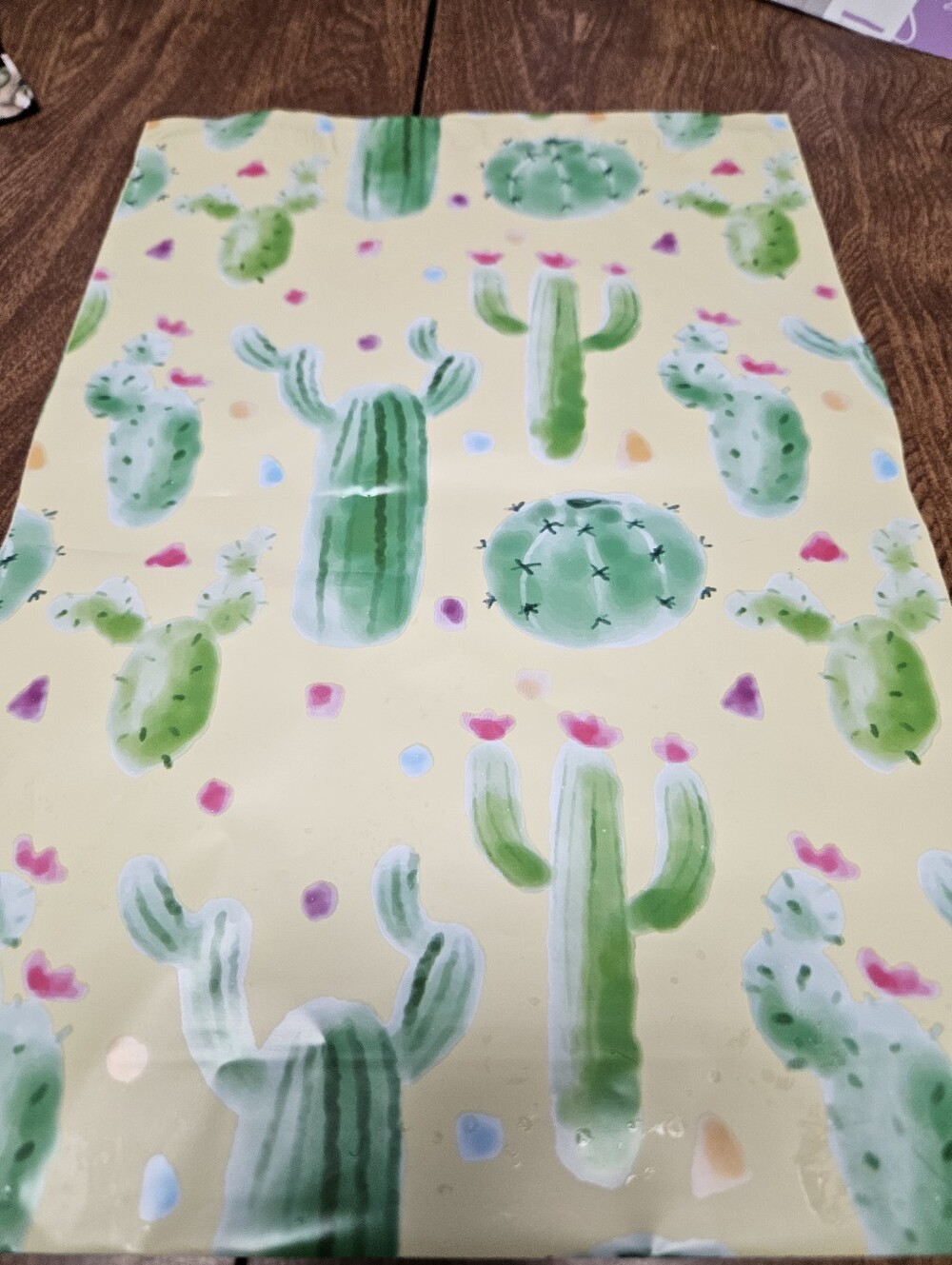 Green Cactus Polymailer Packages